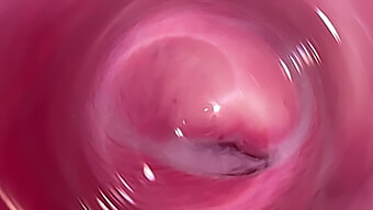 Intimate View Of My Moist And Untouched Teenage Vagina