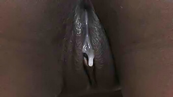 Big Black Cock Penetrates Pussy From Behind