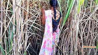 Trío Al Aire Libre Con Una Tía India Y Una Joven En Un Campo De Caña De Azúcar