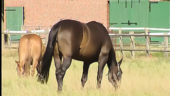 Duitse Amateur Tiener Geniet Van Buitenseks Met Natuurlijke Troeven