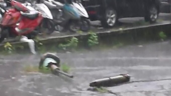 indah dan menampung pendampingnya dengan polio.