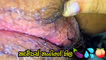 Young Sri Lankan Wife Enjoys Homemade Sex With Condom On Campus