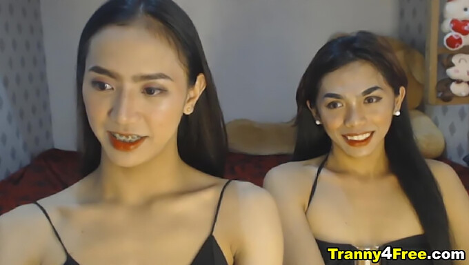 Stunning Asian transsexual gives double the pleasure with her cocks