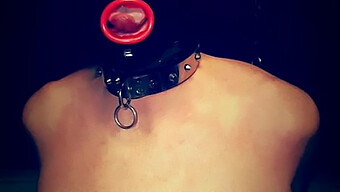 Eine Bdsm-Session Mit Einer Femdom-Schlampe, Die Eine Schlampe Trägt, Maske Und Peitschenbondage