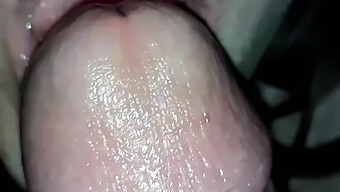 My Wife Gives Me Oral Pleasure (2019)