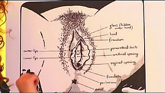 Bruno'S Expert Technique In Oral Pleasure For Women