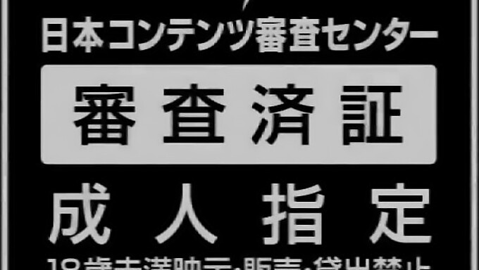 Lady Luck: A szobalány erotikus kalandja Karin Aizawa és Kokone Mizutani közreműködésével